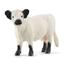Schleich - Figura de brinquedo Vaca Galloway 13960 ㅤ