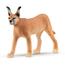 Schleich - Figura de brinquedo Fêmea de Caracal Vida Selvagem (Vários modelos) ㅤ