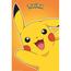 Pokemon - Poster Pokémon Pikachu (61 x 91,5 cm), design multicolorido