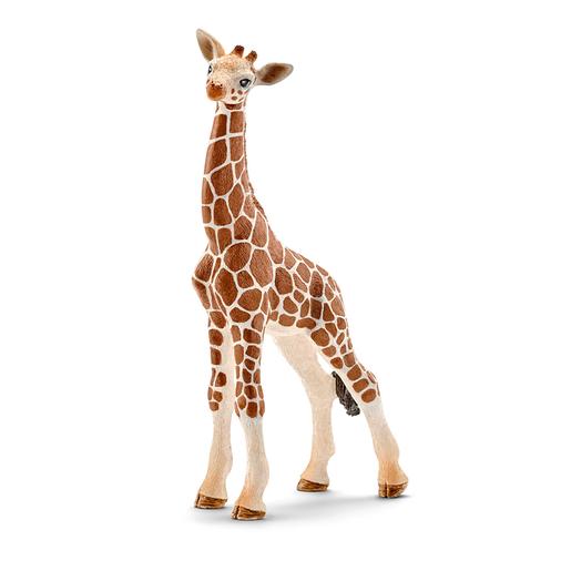 Schleich - Cria de Girafa