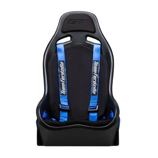 Next Level Racing - Assento de simulador de corrida Elite ES1 Edição Ford GT