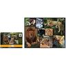 WWF - Felinos salvajes - Puzzle 1000 piezas