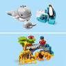 LEGO Duplo - Animais do mundo - 10907
