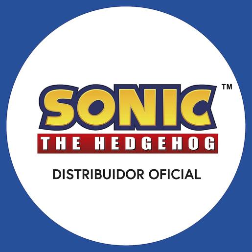 Sonic the Hedgehog - Estuche escolar con asa lateral y cierre de cremallera
