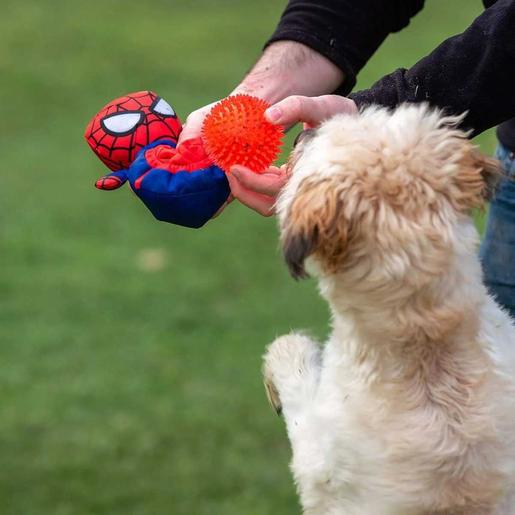 Disney - Pelota y peluche para perros tipo Spiderman