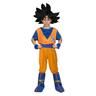 Dragon Ball - Disfarce Goku (vários tamanhos)