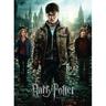 Ravensburger - Harry Potter - Puzzle XXL de 300 piezas Harry Potter y las Reliquias de la Muerte II ㅤ