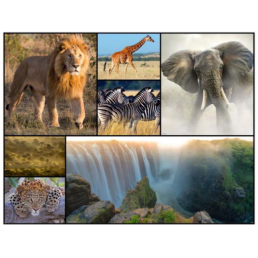 WWF - África - Puzzle 48 piezas