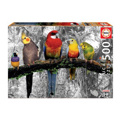 Educa Borras - Pássaros na Selva - Puzzle 500 Peças