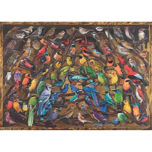 Ravensburger - Arco-íris de pássaros: puzzle de 1000 peças para adultos ㅤ